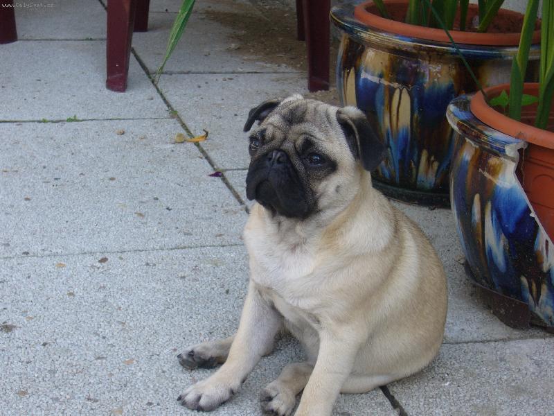 Foto: na�e Queenynka :)