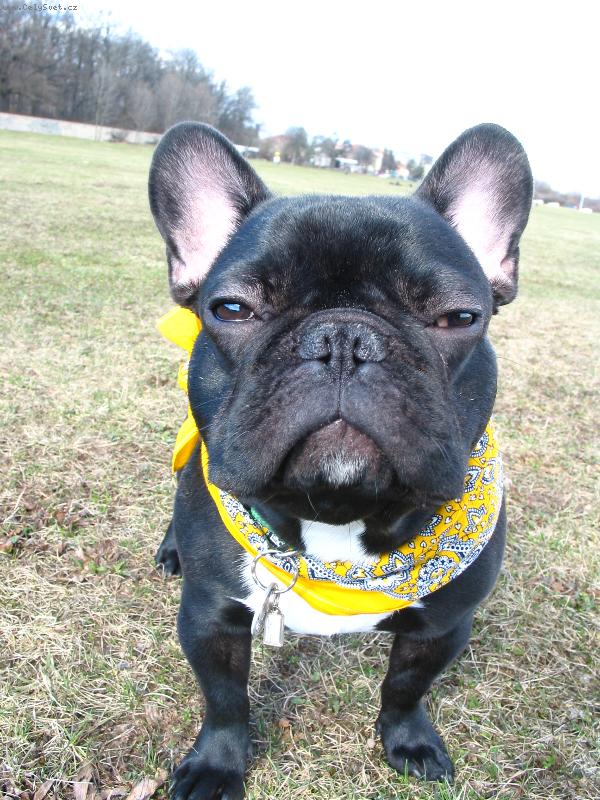 Foto: ambasader-2005, park Hvezda P6