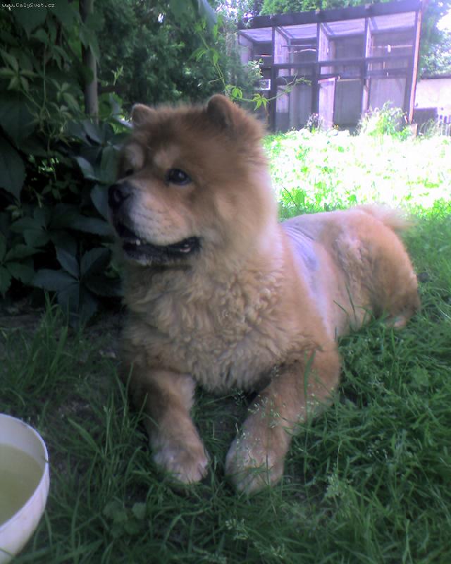 Foto: Torinka-odpo�inek u pergoly ...