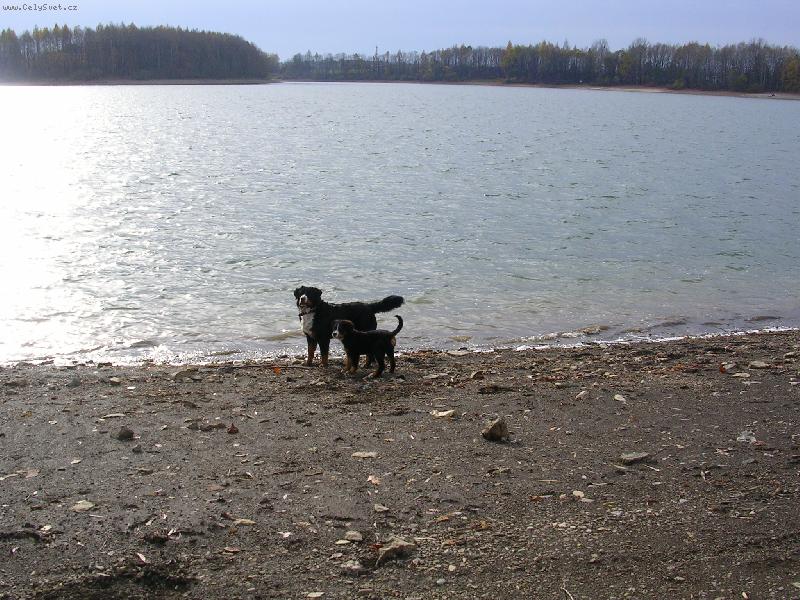 Foto: Max a Sam-nejlep�� kamar�di