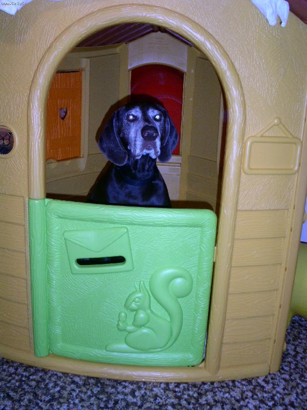 Foto: NKO st��� 6 let-M�j dome�ek