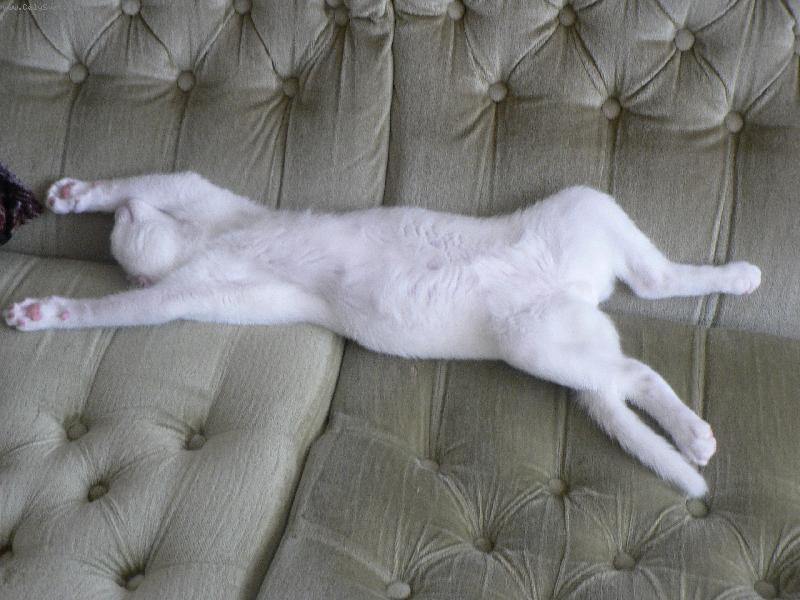 Foto: Mike�-To je pole�en��ko!!!