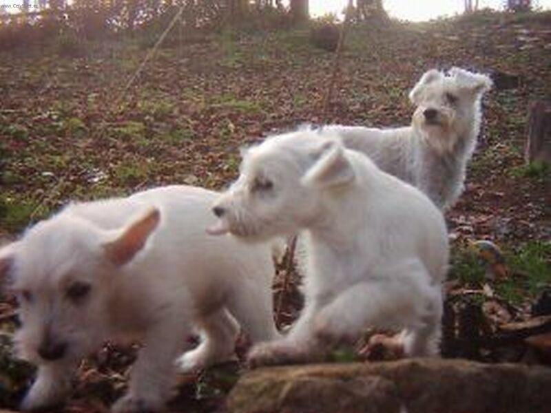 Foto: Na�e �t��ata-Podzimn� v�let na zahradu