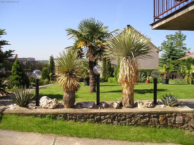 Foto: Vzpom�nka na l�to