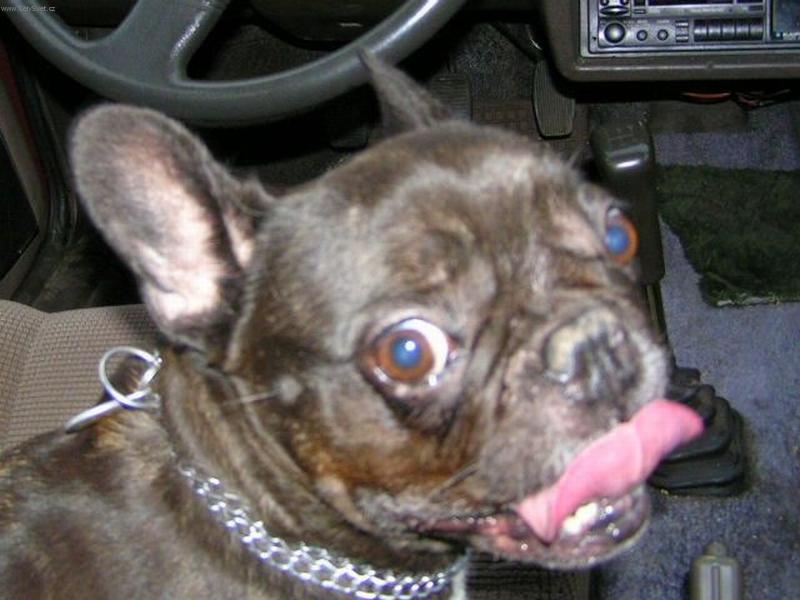 Foto: Nasednu a jedu...