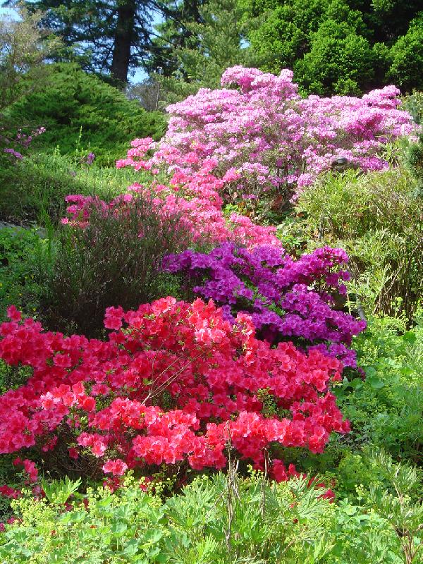 Foto: park v Pr�honic�ch