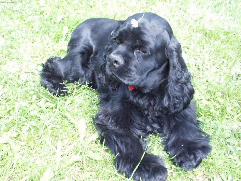 Foto: Sindy s kyti�kou