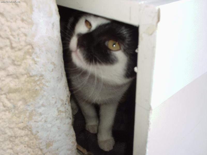 Foto: Moje minda-J��� co to je?