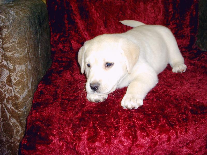 Foto: p��prava na skok