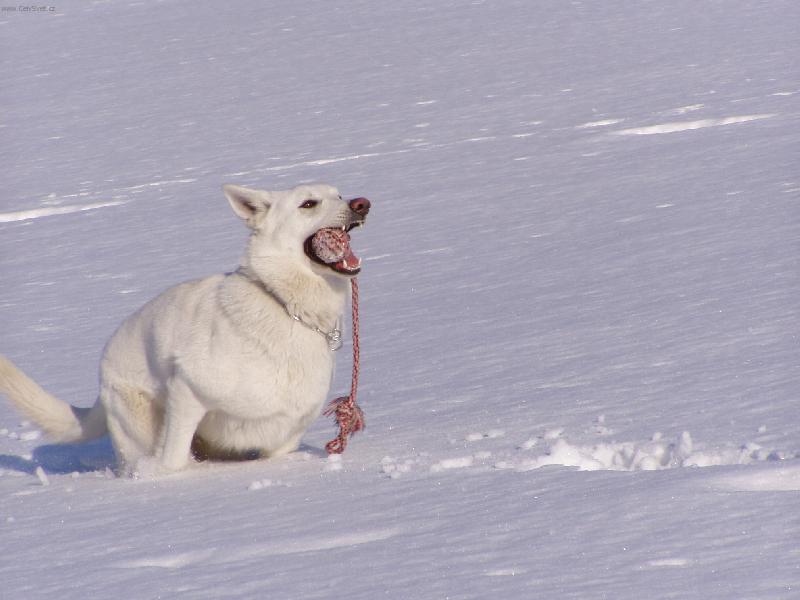 Foto: U� b�����m !