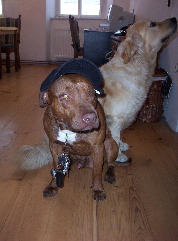 Foto: Raz�m za holkama