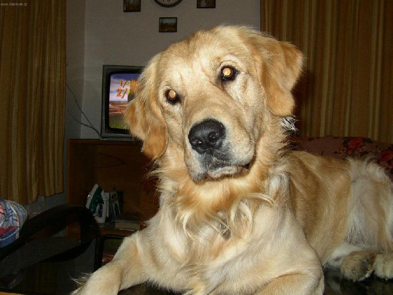 Foto: Kub��ek-Co se d�je?