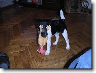 Pro� nevid�m!!!???